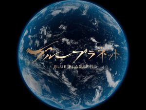 Nスペ ブループラネット（NHKオンデマンド）の作品画像