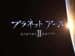 プラネットアースII（NHKオンデマンド）の作品画像