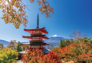 やのまん 新倉山浅間公園の秋景色（山梨）の商品画像